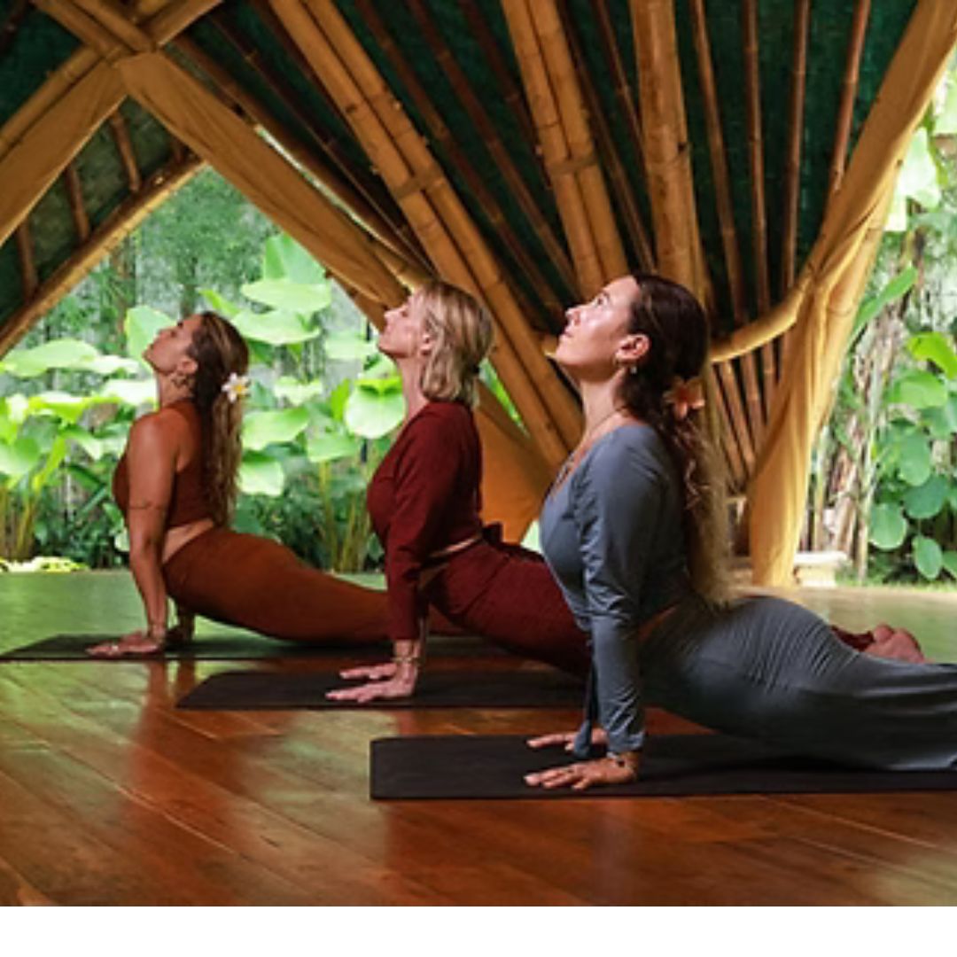 The Yoga Barn photo 5